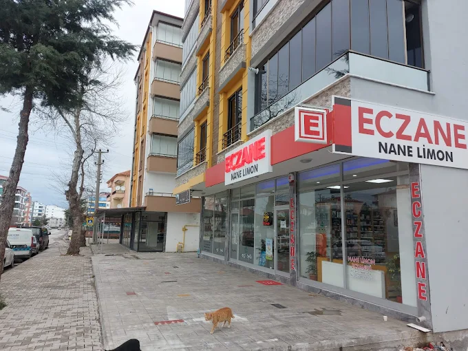 Nane Limon Eczanesi, ONDOKUZMAYIS SAMSUN